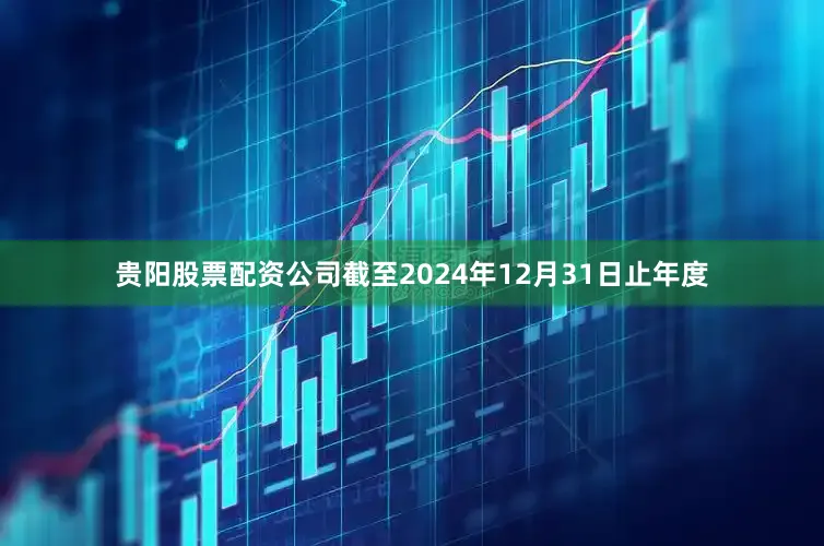 贵阳股票配资公司截至2024年12月31日止年度