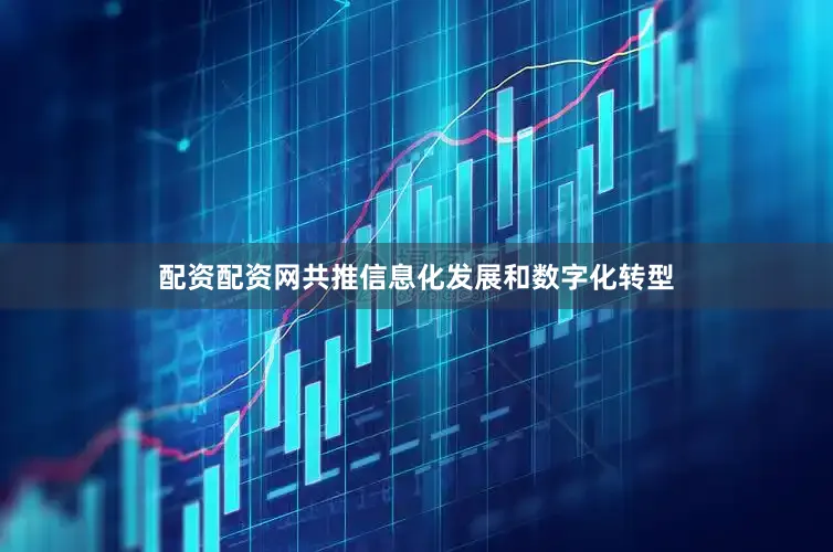配资配资网共推信息化发展和数字化转型